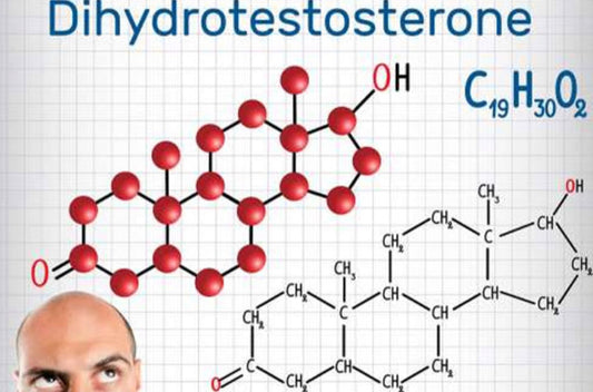 Die Bedeutung des Schutzes der Haarfollikel vor DHT