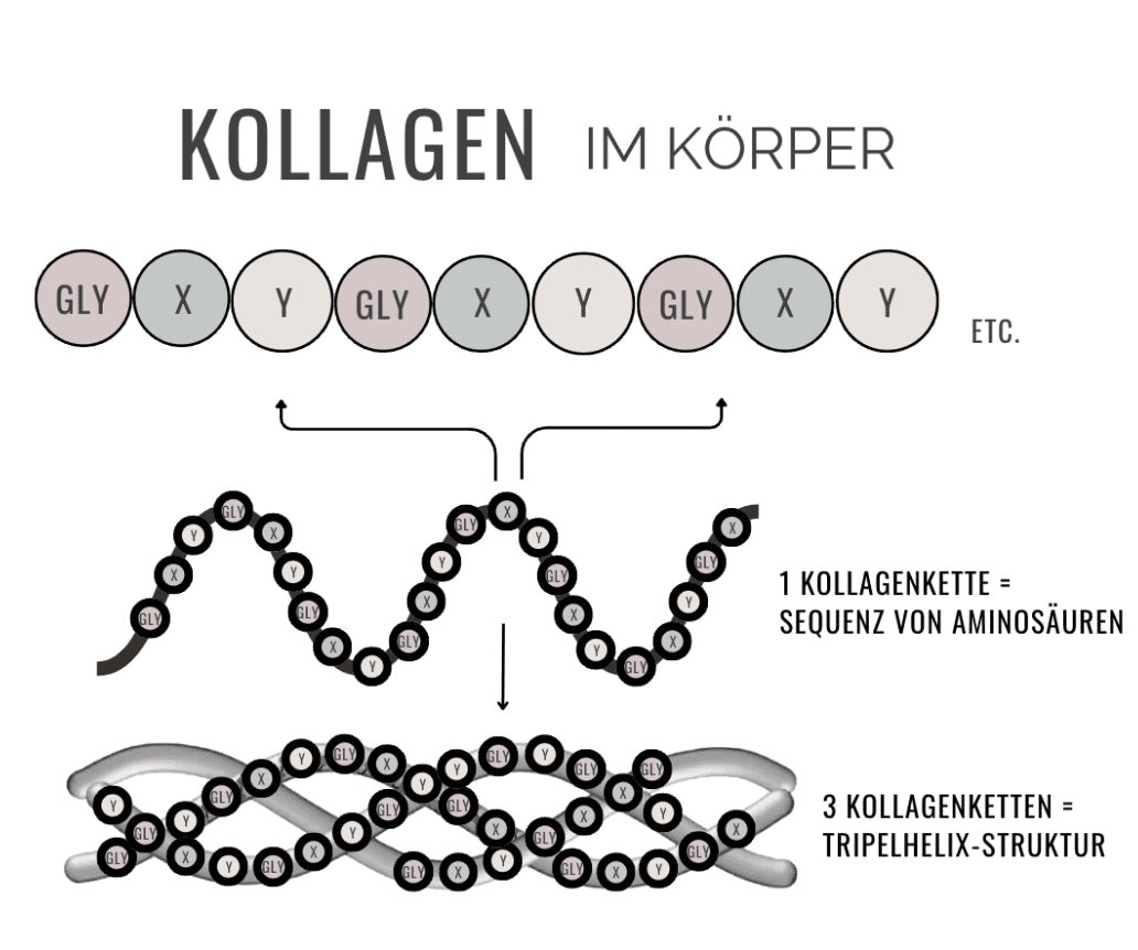 Kollagen: Was ist es, warum wird es benötigt und wie hält man seinen Spiegel aufrecht