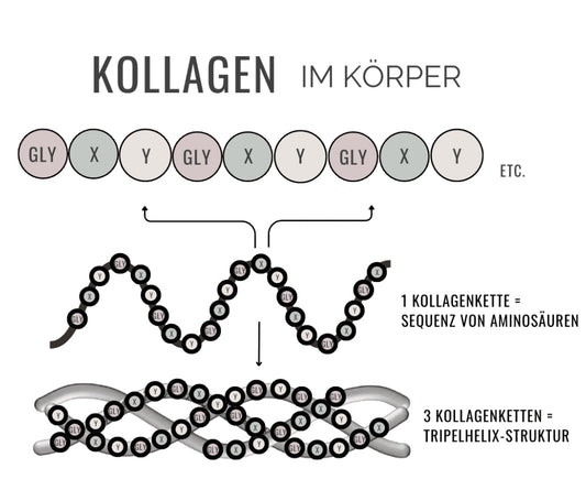 Kollagen: Was ist es, warum wird es benötigt und wie hält man seinen Spiegel aufrecht