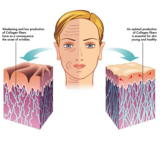 Kollagen zur Verjüngung: Mythos oder wirksames Mittel?