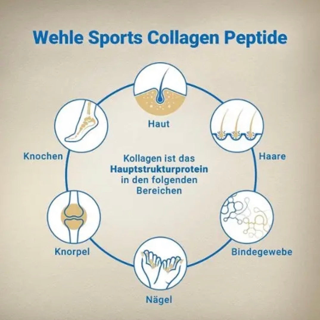 Premium Collagen Hydrolysat von Wehle Sports für Hautelastizität Haarwachstum starke Nägel und jugendliches Aussehen