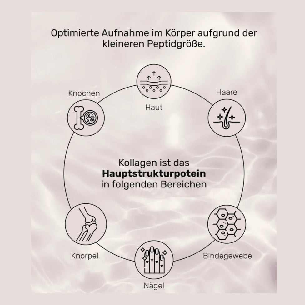 Premium Collagen Pulver von Wehle Sports für schöne Haut kräftige Haare und starke Nägel